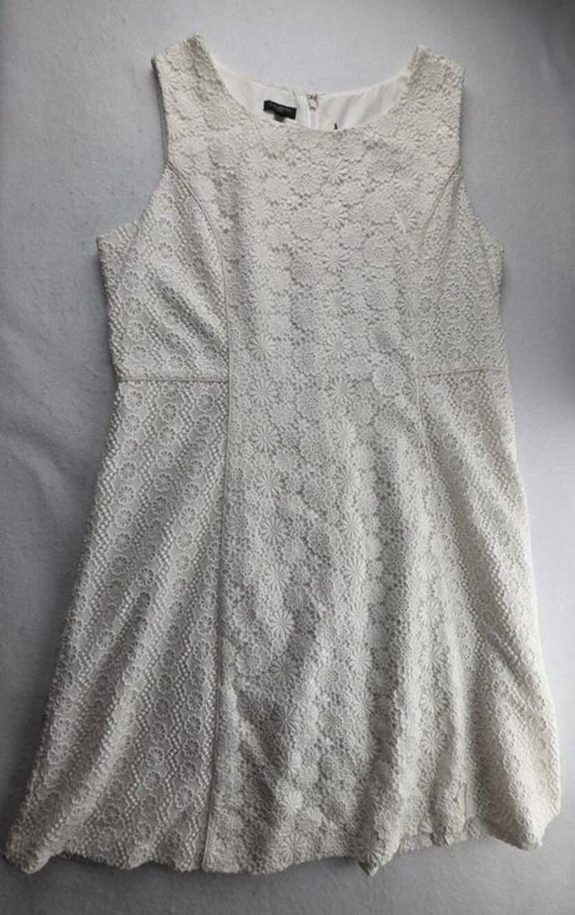 Talbots Sleeveless Lace Crotchet Mini Dress Size 16P NWT